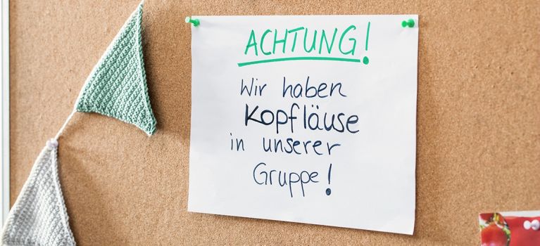 Achtung! Informationszettel über Kopfläuse in einer Gruppe auf einer Pinnwand mit gehäkelter Girlande.
