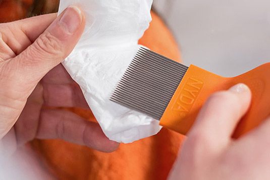 Hände halten einen Läusekamm mit feinen Metallzinken über ein Stück Papier zum Entfernen von Kopfläusen.